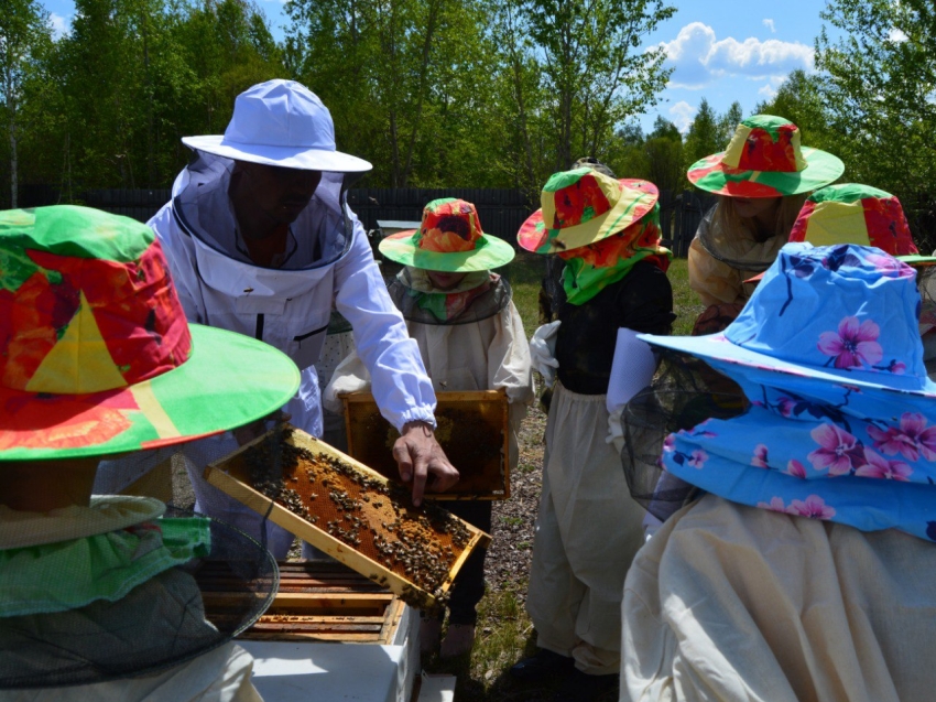 Забайкальская пасека получила «цифровую витрину» - помогла господдержка