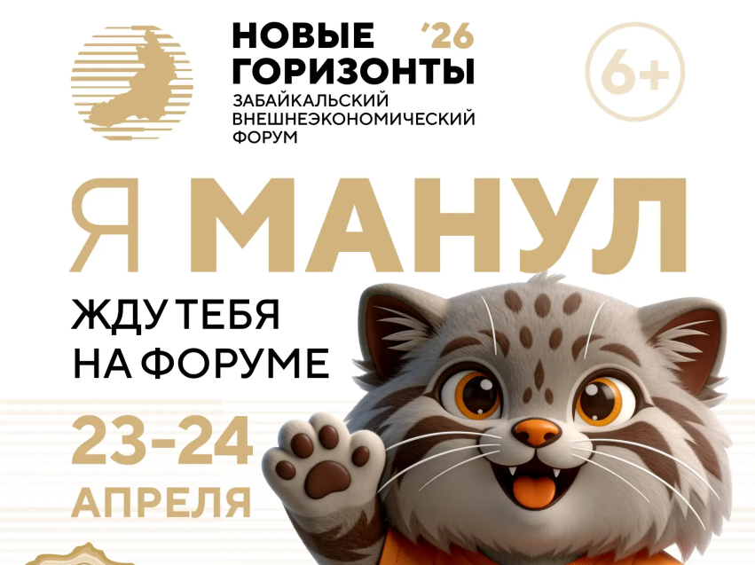 ​Забайкалье готовится к форуму «Новые горизонты»: стратегическая сессия ВЭФ откроет новые возможности для экономики и образования региона