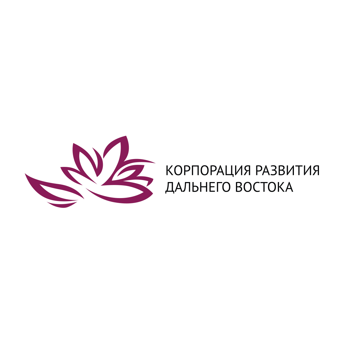Победитель кадрового отбора стал директором дочернего общества «Корпорации развития Дальнего Востока» в Забайкалье