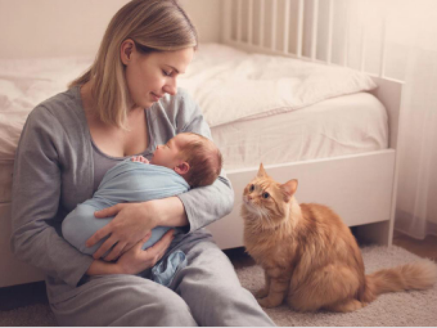 ​Имя божьего пророка получил новорождённый из села Новый Акатуй