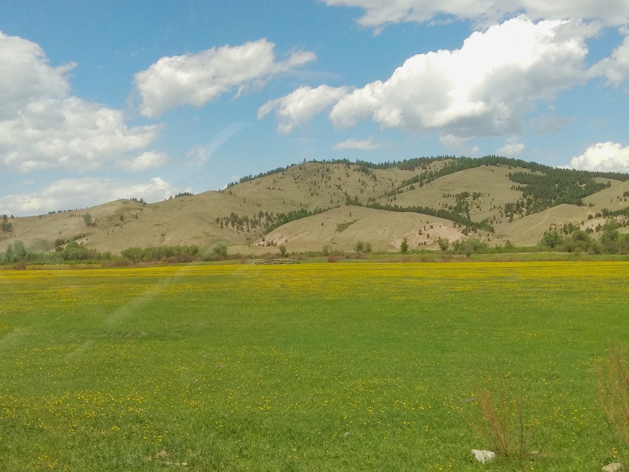 Около 21 миллиона гектаров земли будут доступны в рамках программы «Дальневосточный гектар»  в Забайкальском крае