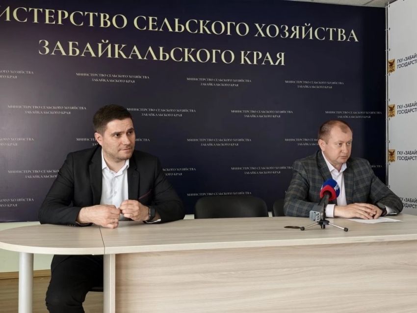 ​Участникам «Школы фермера» в Минсельхозе Забайкалья разъяснили вопросы предоставления господдержки