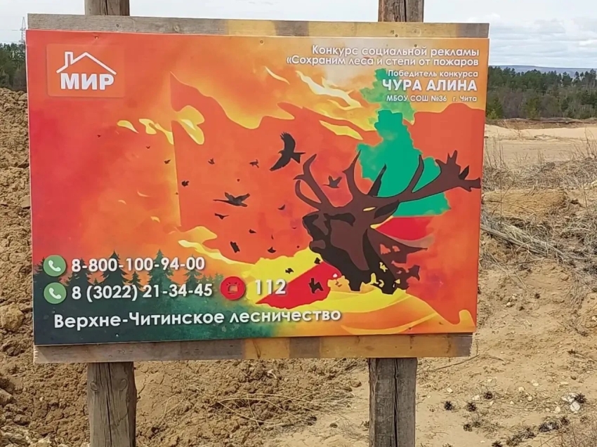 Необычные противопожарные аншлаги появились в Верхне-Читинском лесничестве