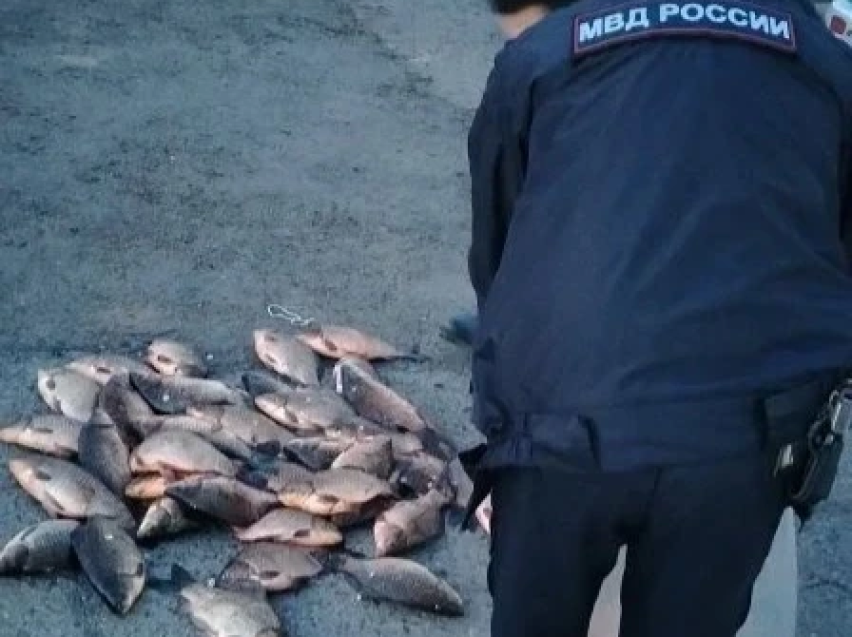 Сотрудники отдела охраны окружающей среды и полиции провели рейд в рамках ОПМ «Нерест»