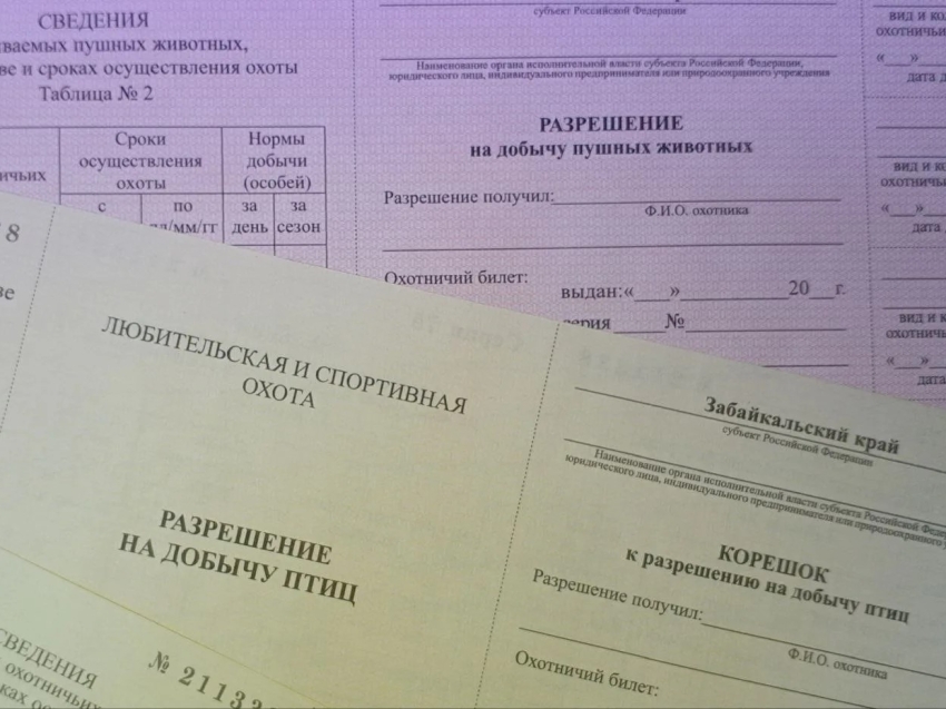 ​Охотникам Забайкалья необходимо до 4 июня сдать разрешения на добычу охотничьих ресурсов