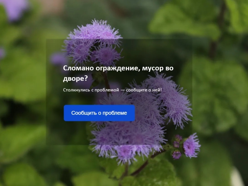 ​Забайкальцы активно используют платформы обратной связи для решения повседневных вопросов