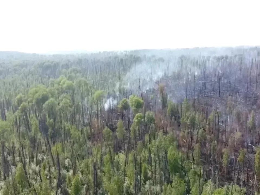 Пожарные-десантники из Забайкалья продолжают помогать своим коллегам в Красноярском крае