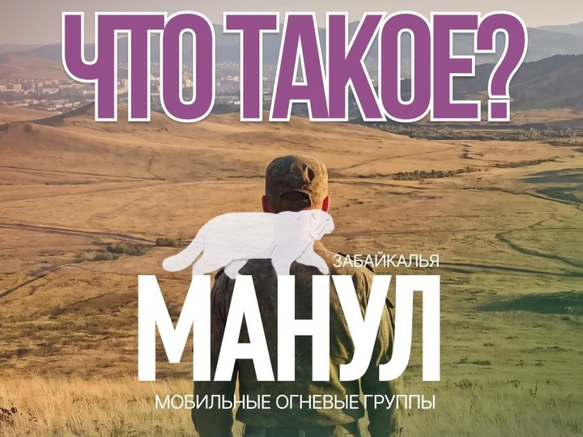 ​МОГ «Манул» — что это и зачем?