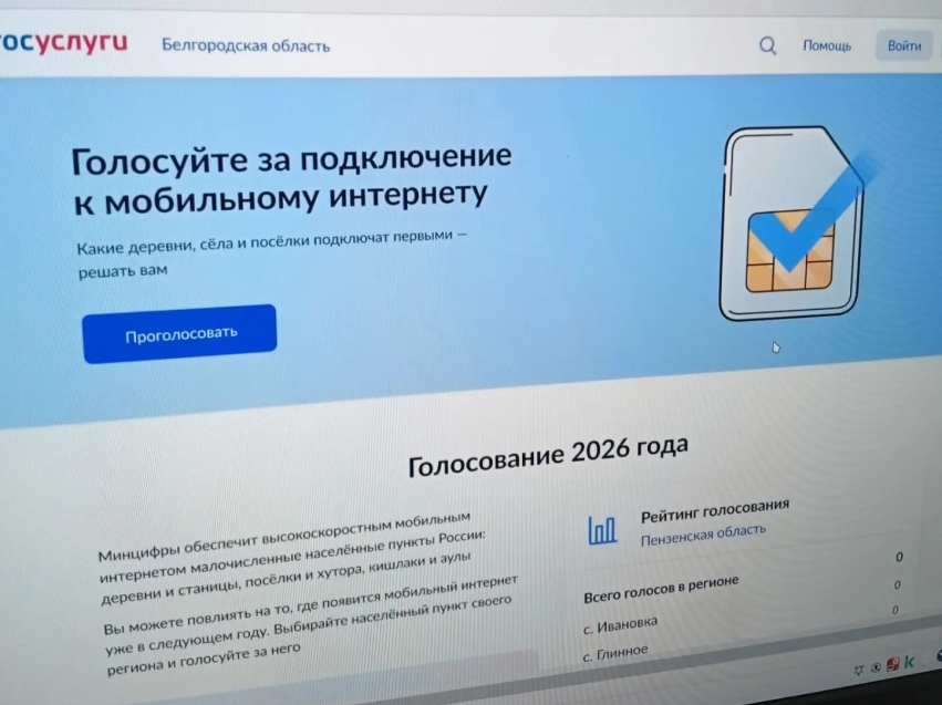 Забайкальские сёла получат доступ к интернету по итогам голосования на Госуслугах