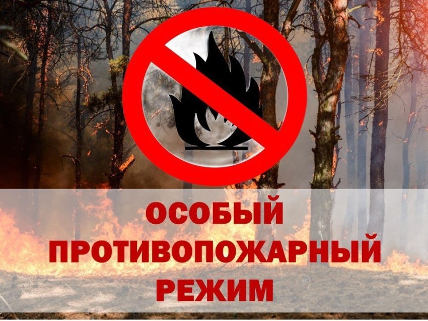 Забайкалье в огне — и виноваты в этом, в большинстве случаев, люди