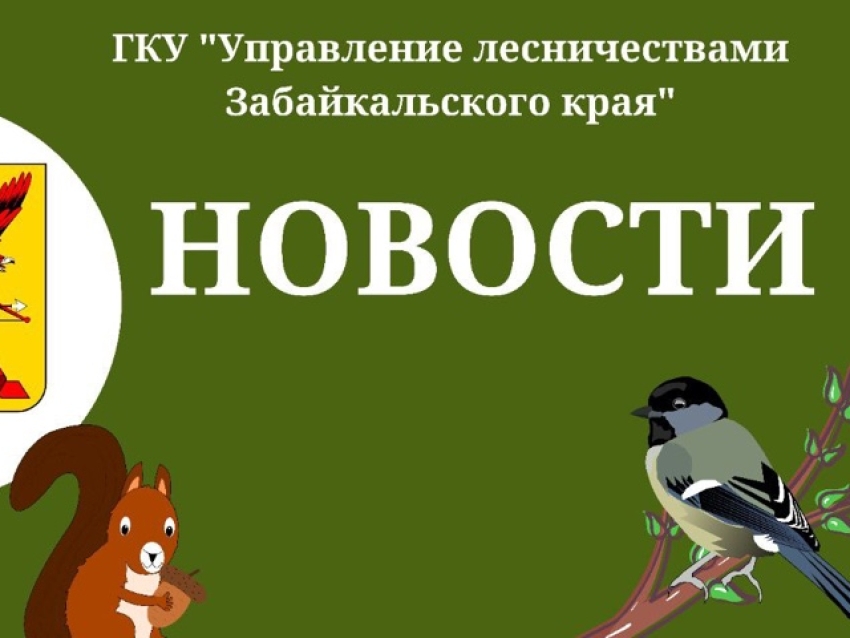 Новости ГКУ "Управление лесничествами Забайкальского края"