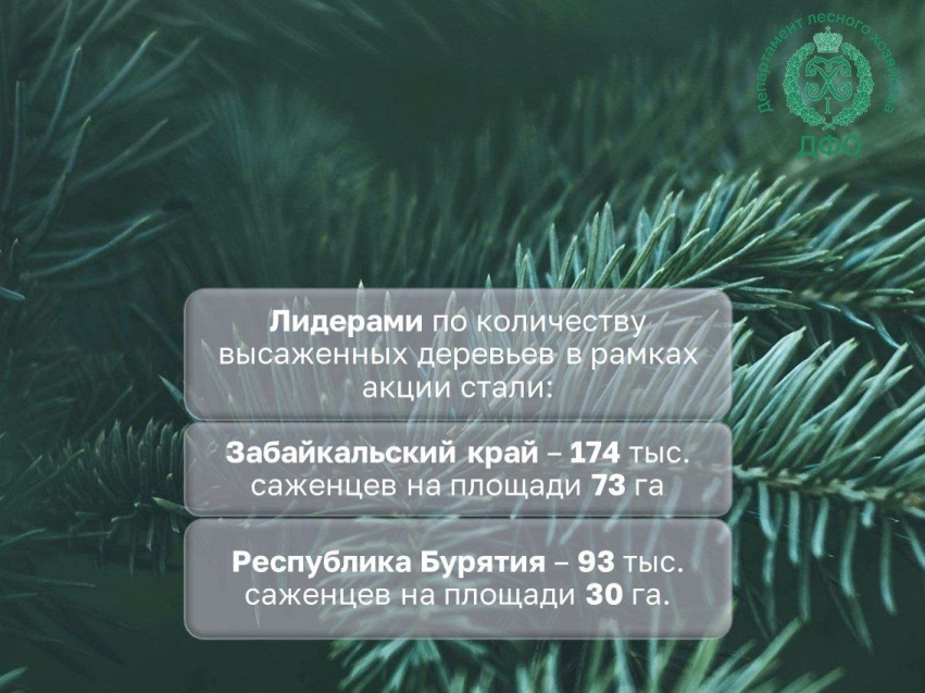 Итоги Акции "Сад памяти" подвели на территории Дальнего Востока. 