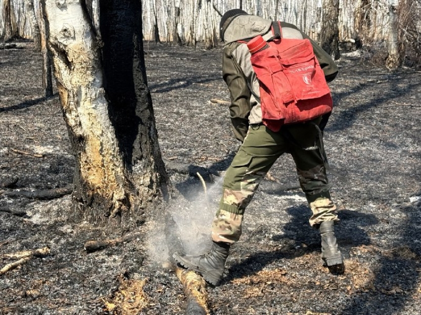 ​В тушении лесных пожаров в Забайкалье задействовано почти 1,6 тысячи человек