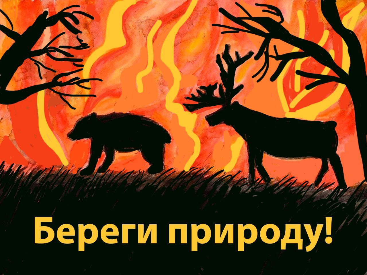 Официальный портал Забайкальского края | Подведены итоги регионального  конкурса «Сохраним леса и степи от пожаров»