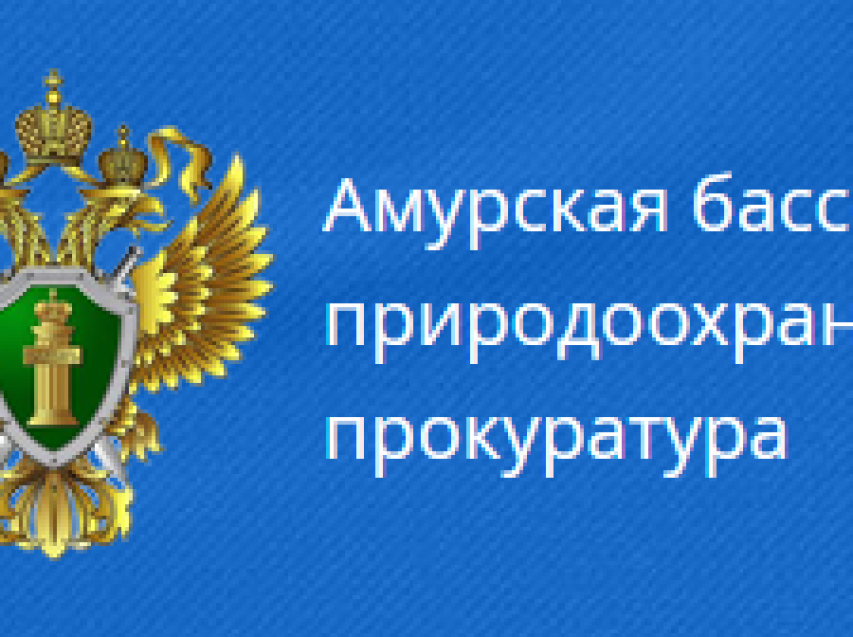Амурский бассейновый природоохранный прокурор проведет прием граждан в г. Чите Забайкальского края