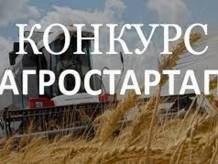 ​Фермеры Агинского района получат субсидии «Агростартап»