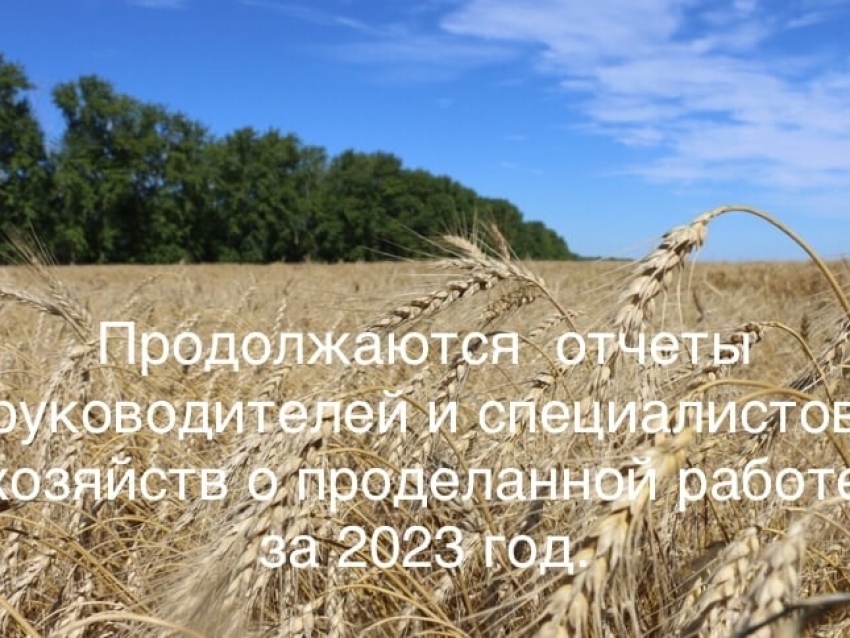 В сельхозпредприятиях Агинского района продолжаются отчетные и отчетно-выборные собрания по итогам работы за 2023 год