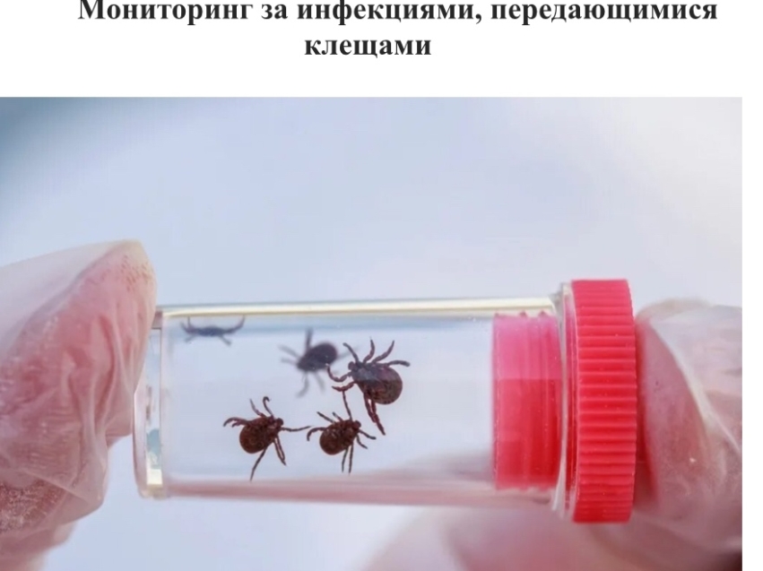 Территориальный отдел Управления Роспотребнадзора по Забайкальскому краю в городском округе «Поселок Агинское» сообщает
