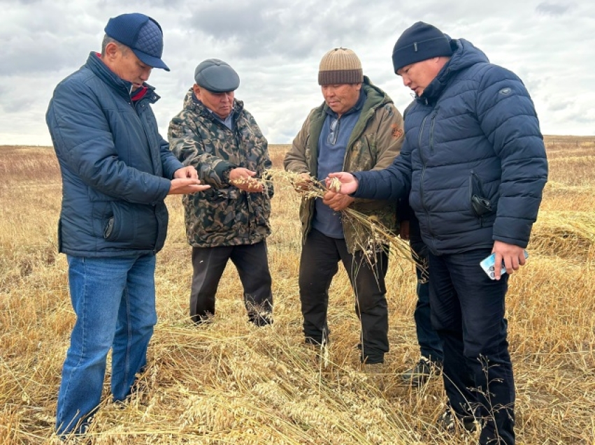 Состоялась рабочая поездка по сельхозпредприятиям Агинского района.