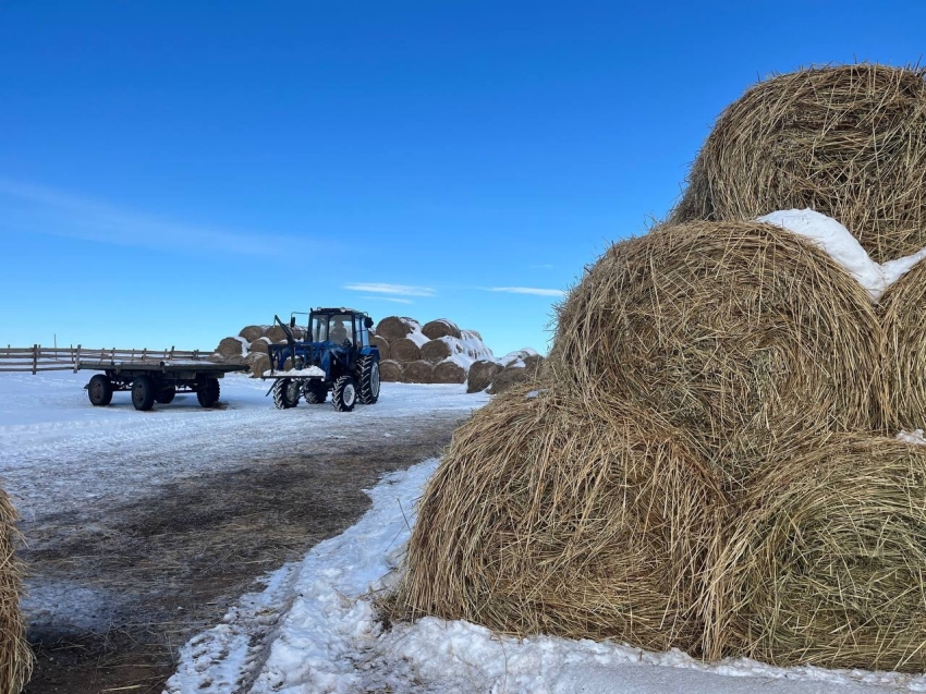 Всё внимание на зимовку скота
