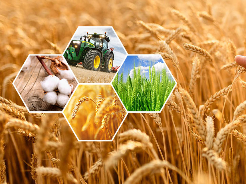 Итоги работы АПК Агинского муниципального округа  2025 года