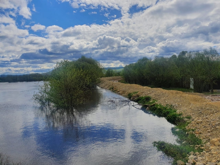 Прогноз береговой. Река Газимур. Река Газимур в Забайкальском крае. Береговая линия реки. Линия река.
