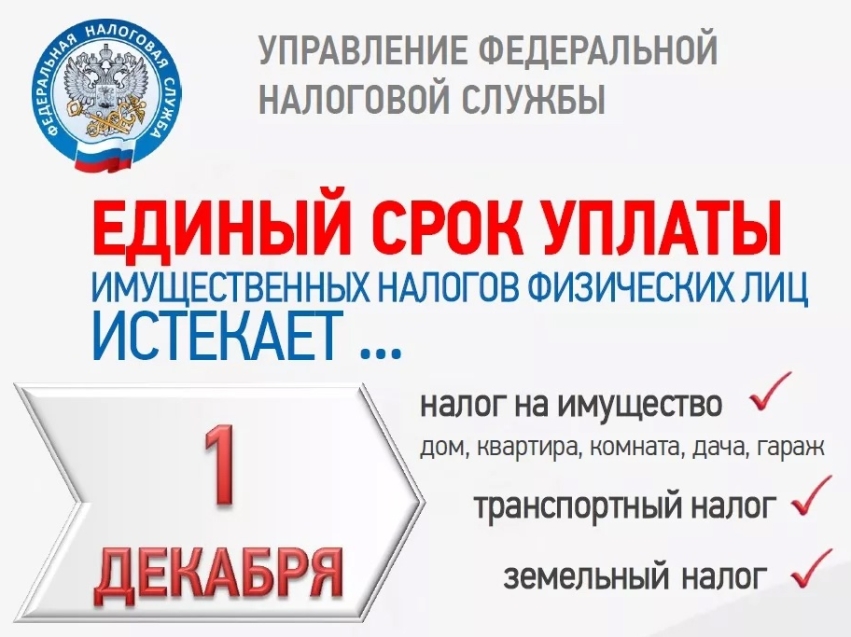 Напоминаем, срок уплаты транспортного и земельного налогов, а также налога на имущество физических лиц в текущем году истекает 1 декабря.