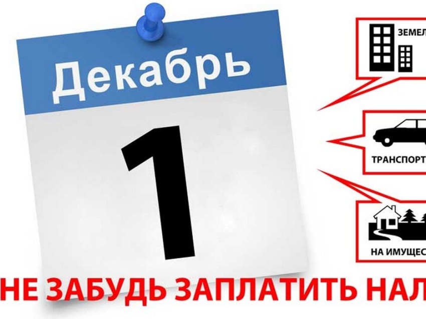 1 декабря 2022 года истекает срок исполнения налоговых уведомлений за 2021 год