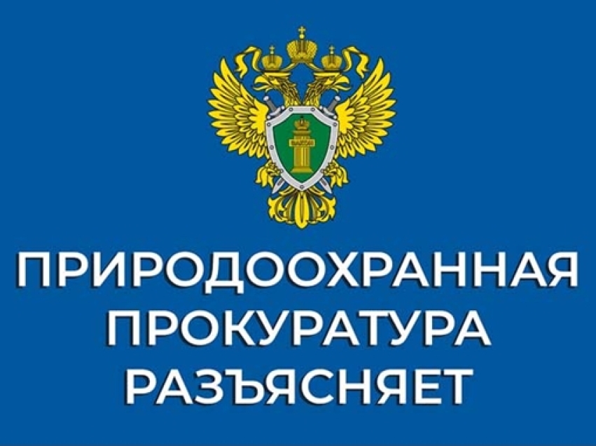 Забайкальская межрайонная природоохранная прокуратура разъясняет законодательство об ответственном отношении с домашними животными