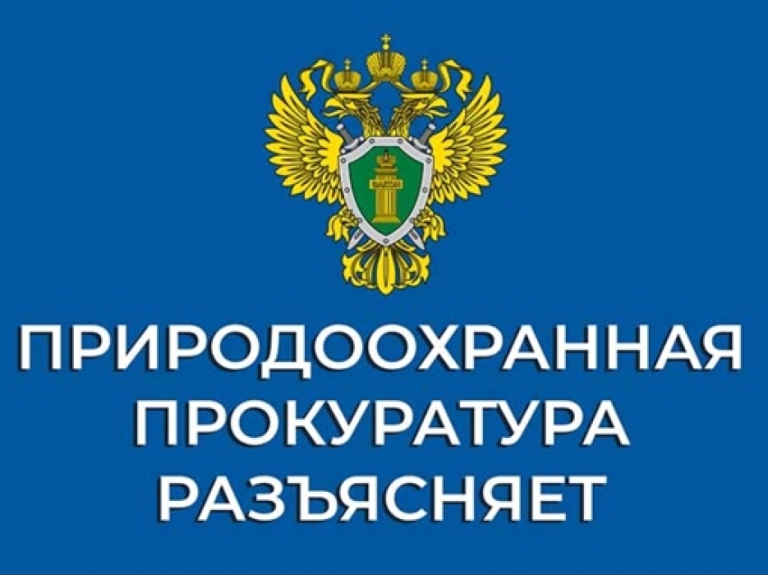 Забайкальский межрайонный природоохранный прокурор через суд обязал муниципалитеты внести в документы территориального устройства сведения о зонах затопления и подтопления