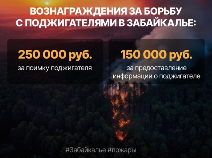 Забайкальские леса горят, гибнут животные!