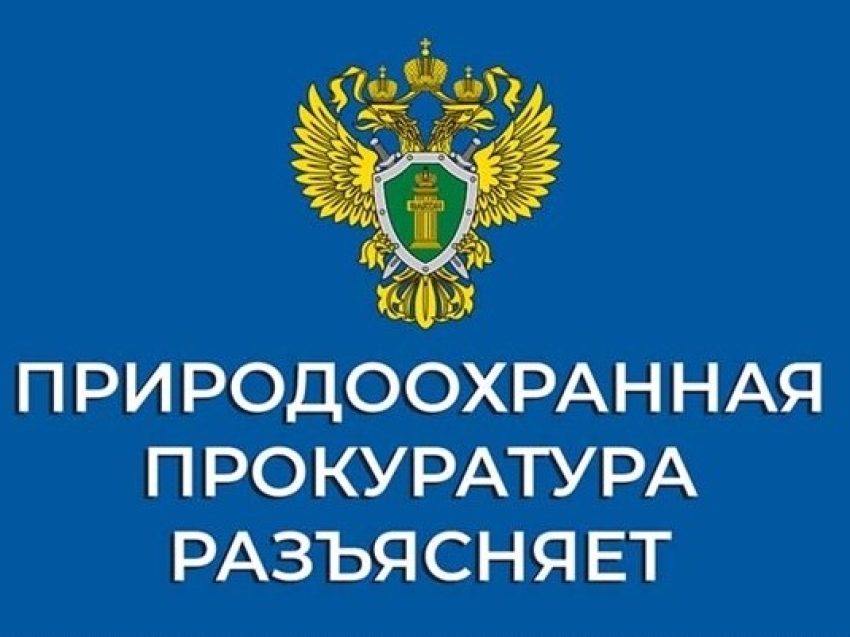 ​Забайкальская межрайонная природоохранная прокуратура разъясняет