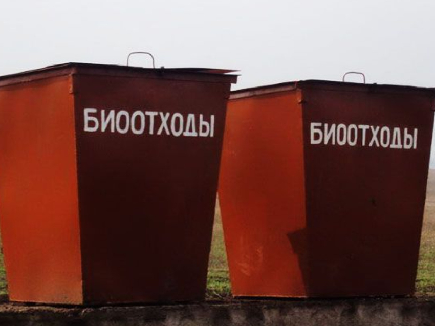 Памятка о недопустимости сокрытия случаев заболевания и/или падежа животных и захоронения биологических отходов в несанкционированных местах.