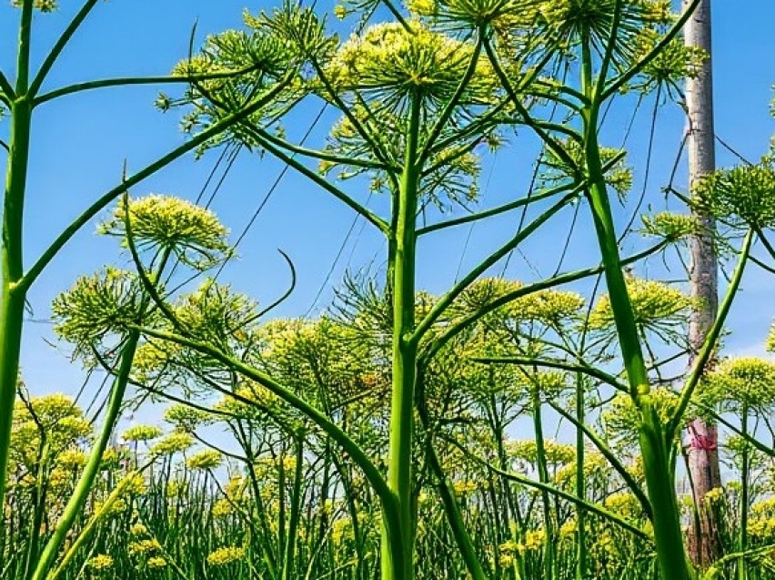 ​С 1 марта 2026 года начал действовать Федеральный закон от 31.07.2025 N 294‐ФЗ «О внесении изменений в Земельный кодекс Российской Федерации».