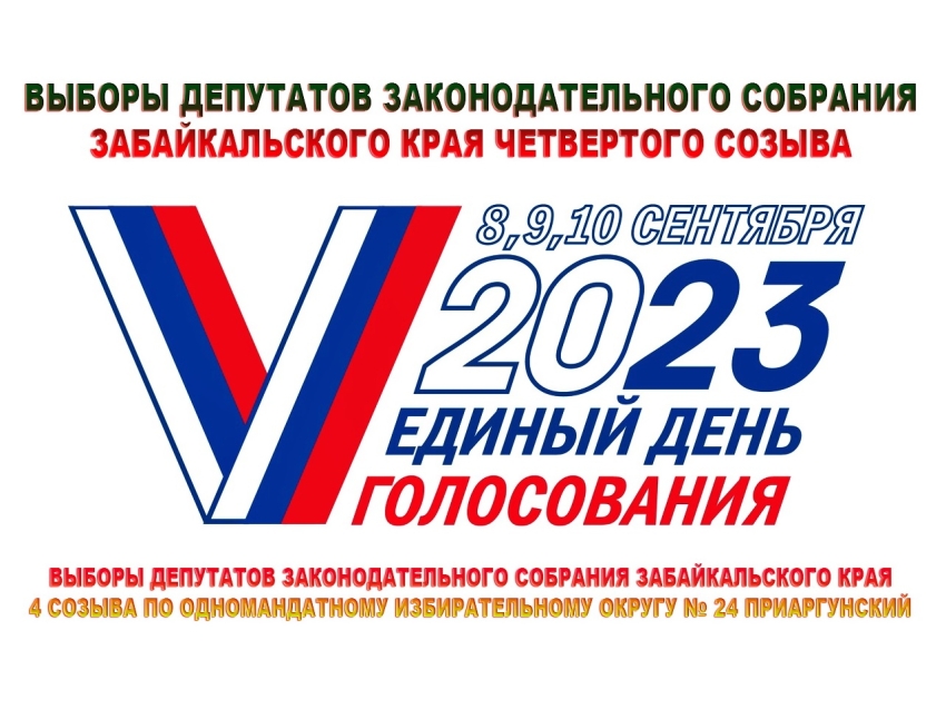 Муниципальные выборы 2023