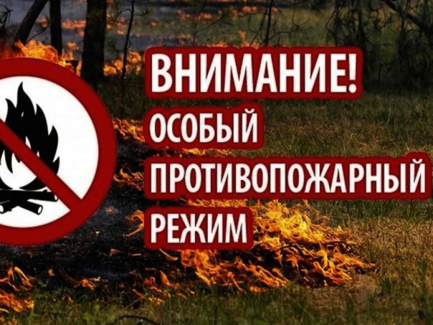 На всей территории Забайкальского края введён особый противопожарный режим 