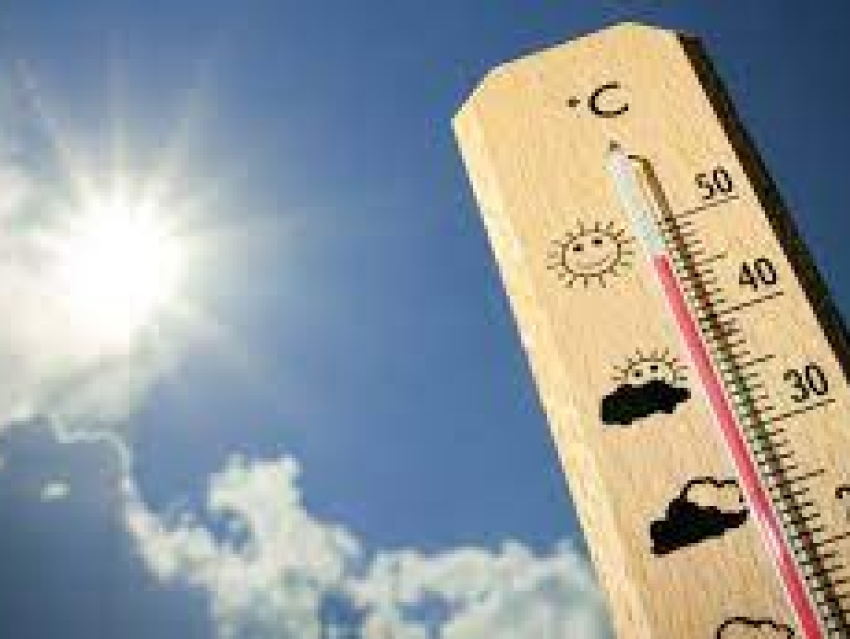 Практические советы министерства Здравоохранения  Zабайкалья в жаркую погоду 