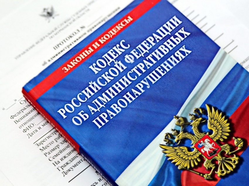 Число дел об административных правонарушениях, рассмотренных мировыми судьями, увеличилось в 2021 году на 30% 