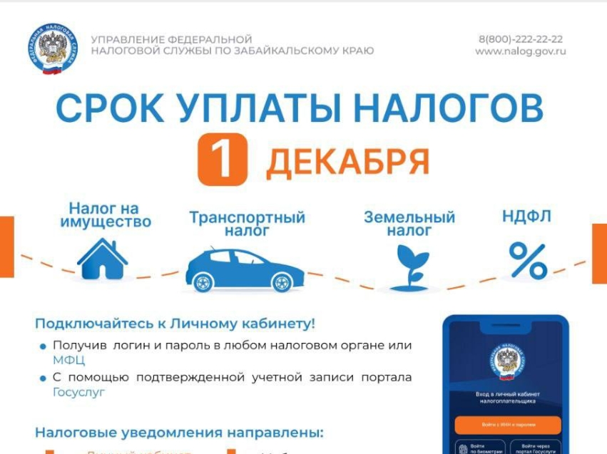 Напоминание от ФНС: до 1 декабря необходимо уплатить налоги