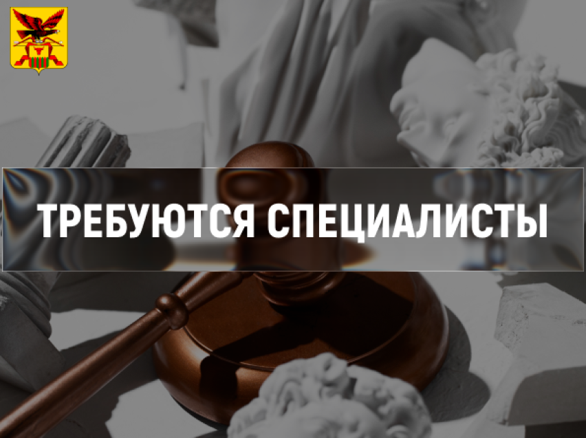 Команда Департамента приглашает на работу.