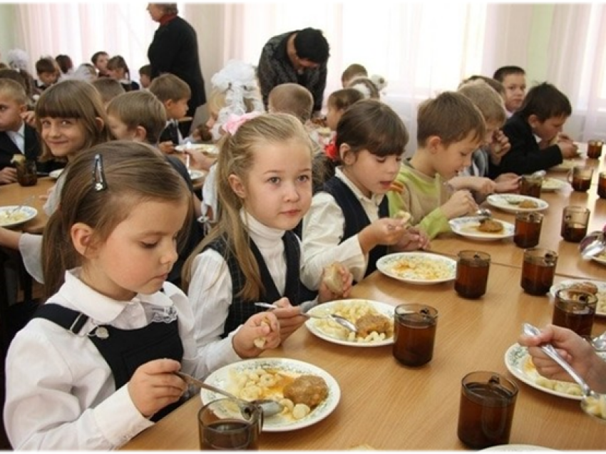 Организация питания детей дошкольного и школьного возраста в организованных коллективах