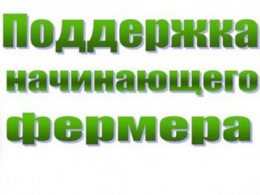 Два начинающих фермера Дульдургинского района получат региональную субсидию 