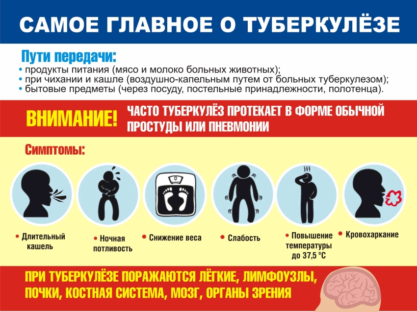 Территориальный отдел Управления Роспотребнадзора по Забайкальскому краю в городском округе «Поселок Агинское» информирует о проведении «Горячей линии» в рамках Всемирного дня борьбы с туберкулезом