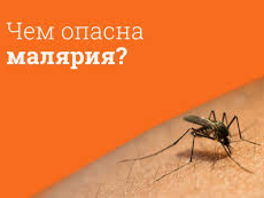 Профилактика малярии