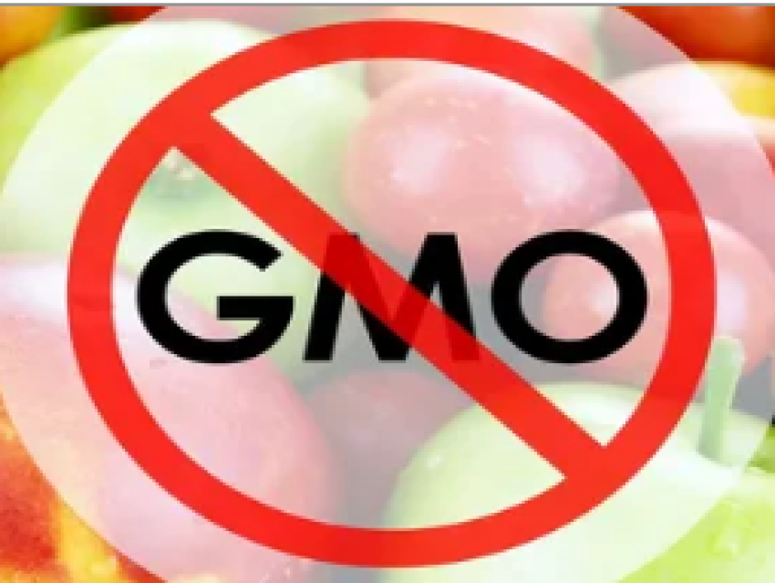 Безопасность еды- наше право. Международная акция против ГМО