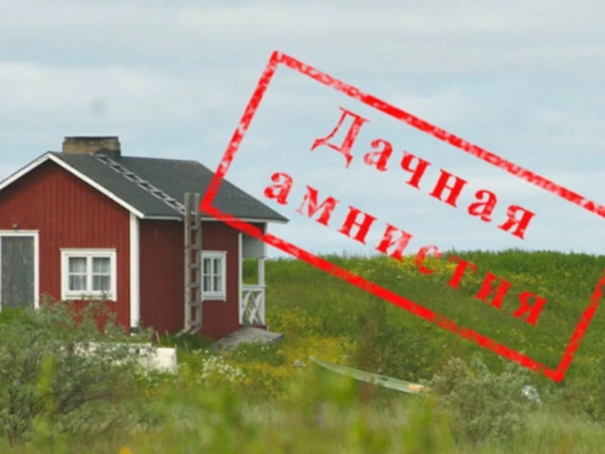 Дачная амнистия