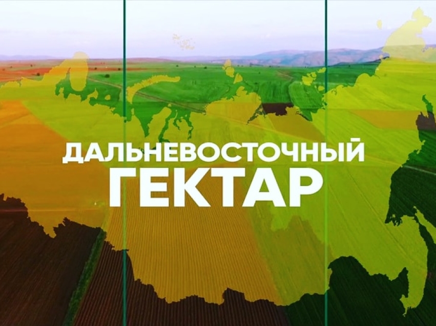 Реализация программы «ДАЛЬНЕВОСТОЧНЫЙ ГЕКТАР»  в Забайкальском крае
