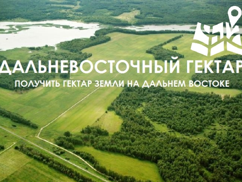 Госдума РФ приняла в первом чтении закон о развитии программ «Дальневосточный гектар» и «Арктический гектар» 