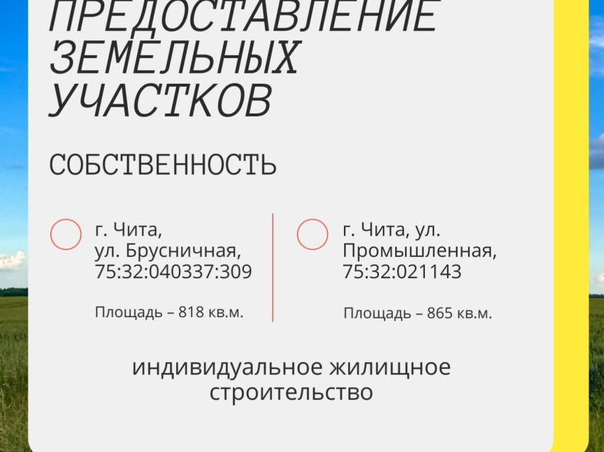 Аукцион по продаже и аренде земельных участков