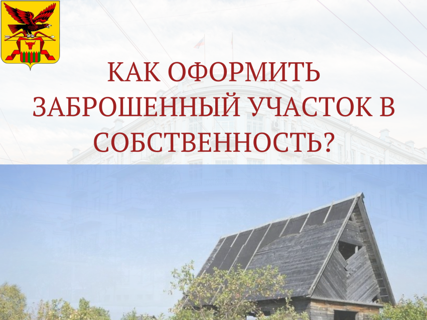 Как оформить заброшенный земельный участок в собственность?